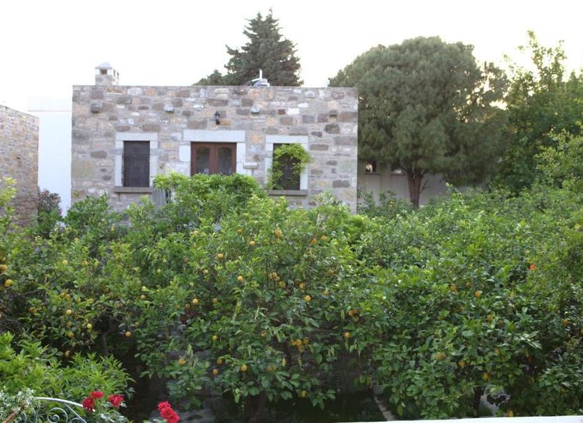 Utomhus Foto