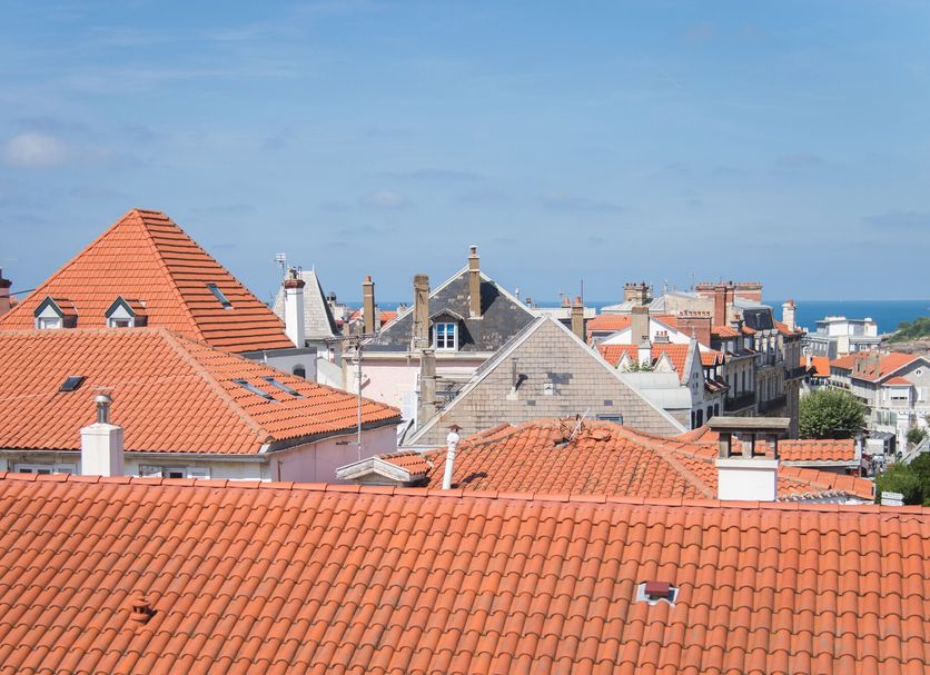 Utomhus Foto