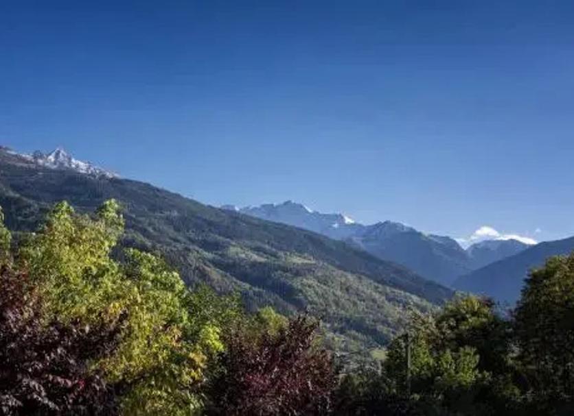 Utomhus Foto