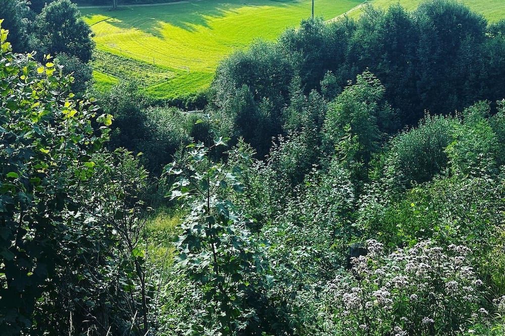 Utomhus Foto