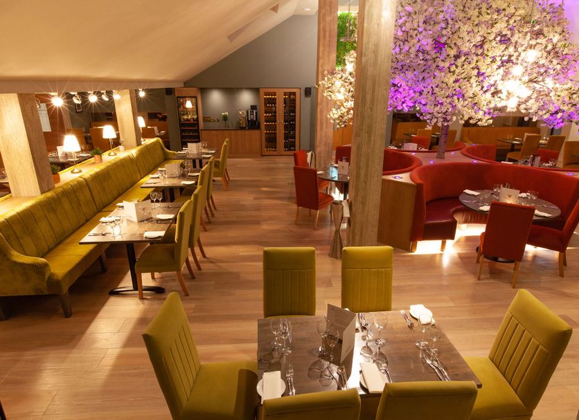 Restaurang Foto