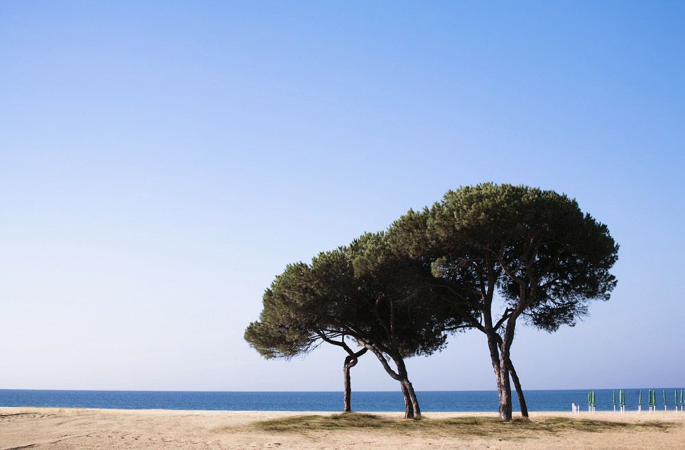 Strand
